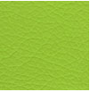 Kunstleder grün